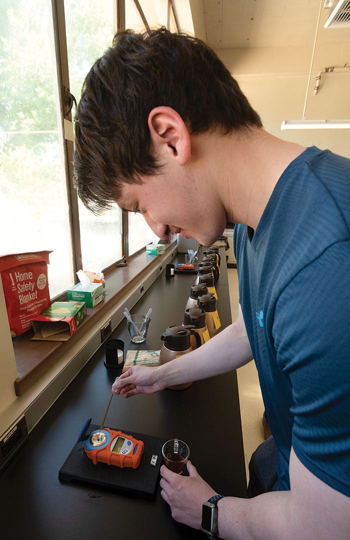 uc-davis-coffee-class-lab-student A student watches as they pipette drops of coffee on to an electronic lab instrument's sensor.