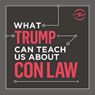 Logo for What Trump Can Teach Us About Con Law